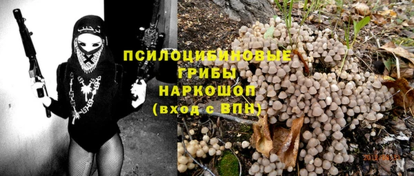 экстази Каменка